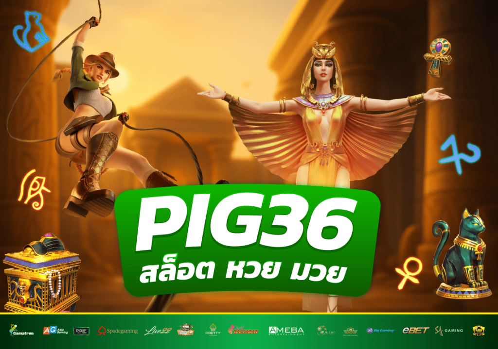 PIG36